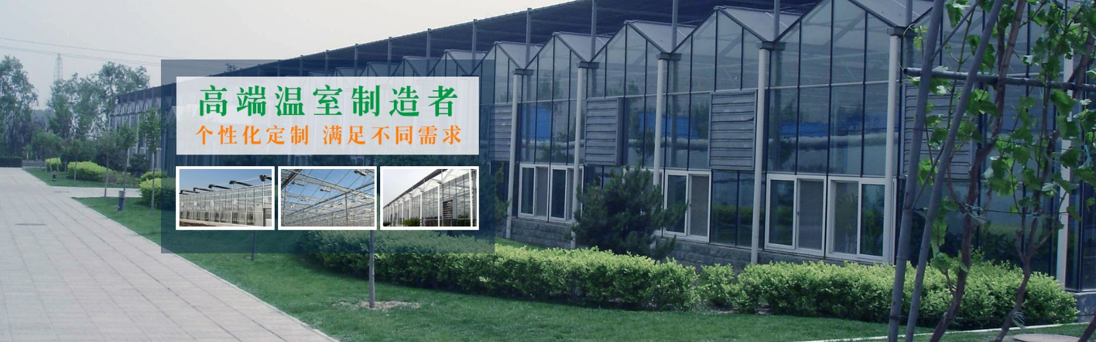 qq游戏大厅德州扑克