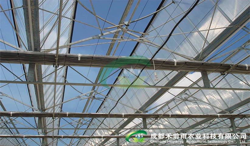 qq游戏大厅德州扑克