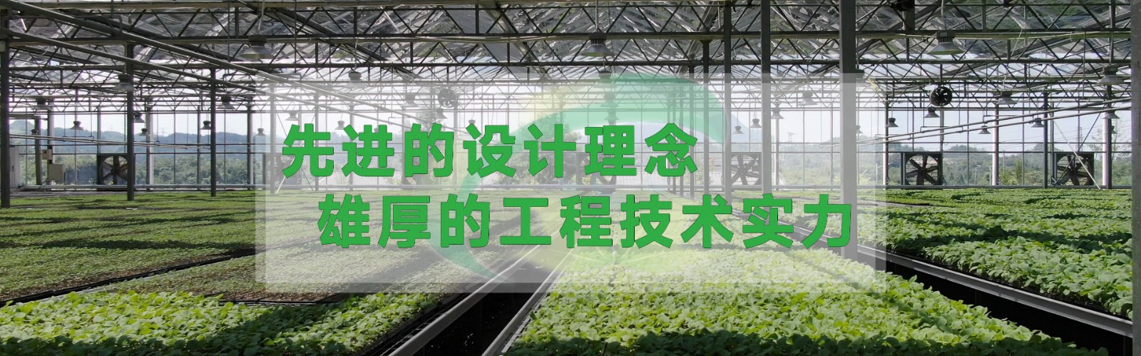 免费德州扑克游戏